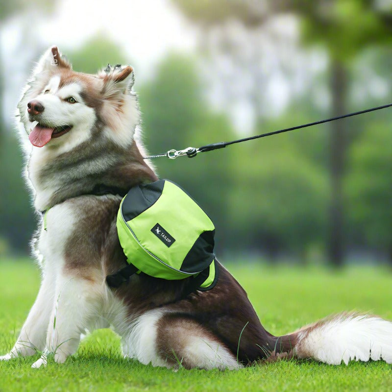 Pet Oxford cloth Harness